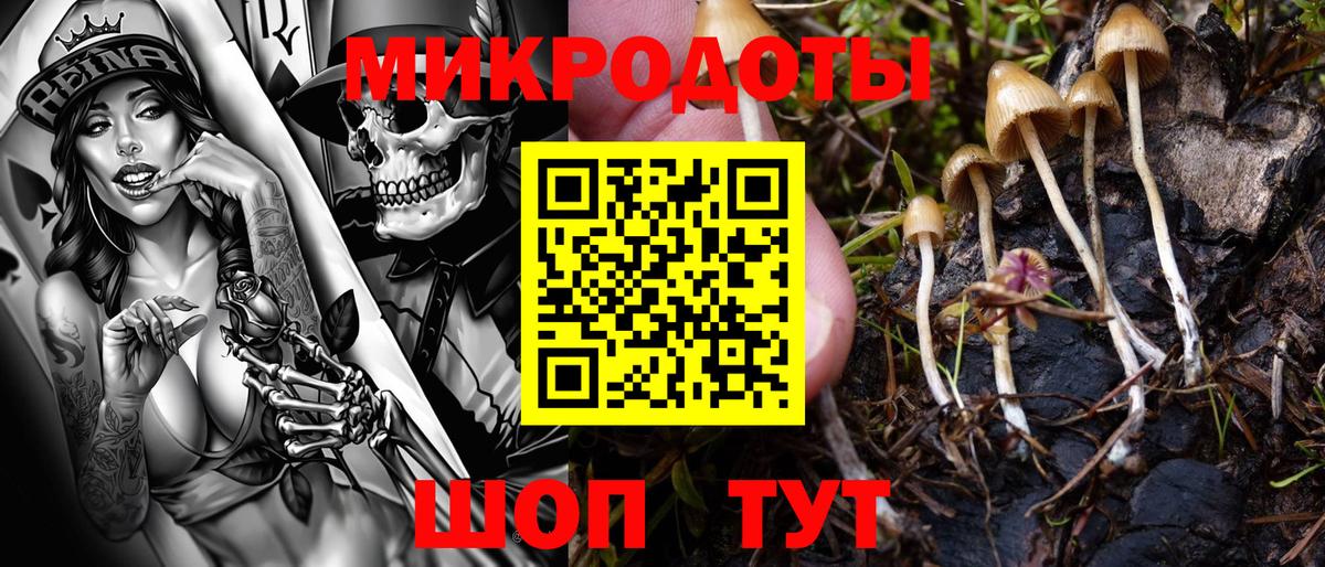 Тихорецк  Галлюциногенные грибы Magic Shrooms  Вход с VPN 